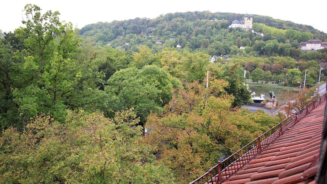 Zentrale Stadtwohnung - Direkt Am Main, Park-Ausblick 뷔르츠부르크 외부 사진